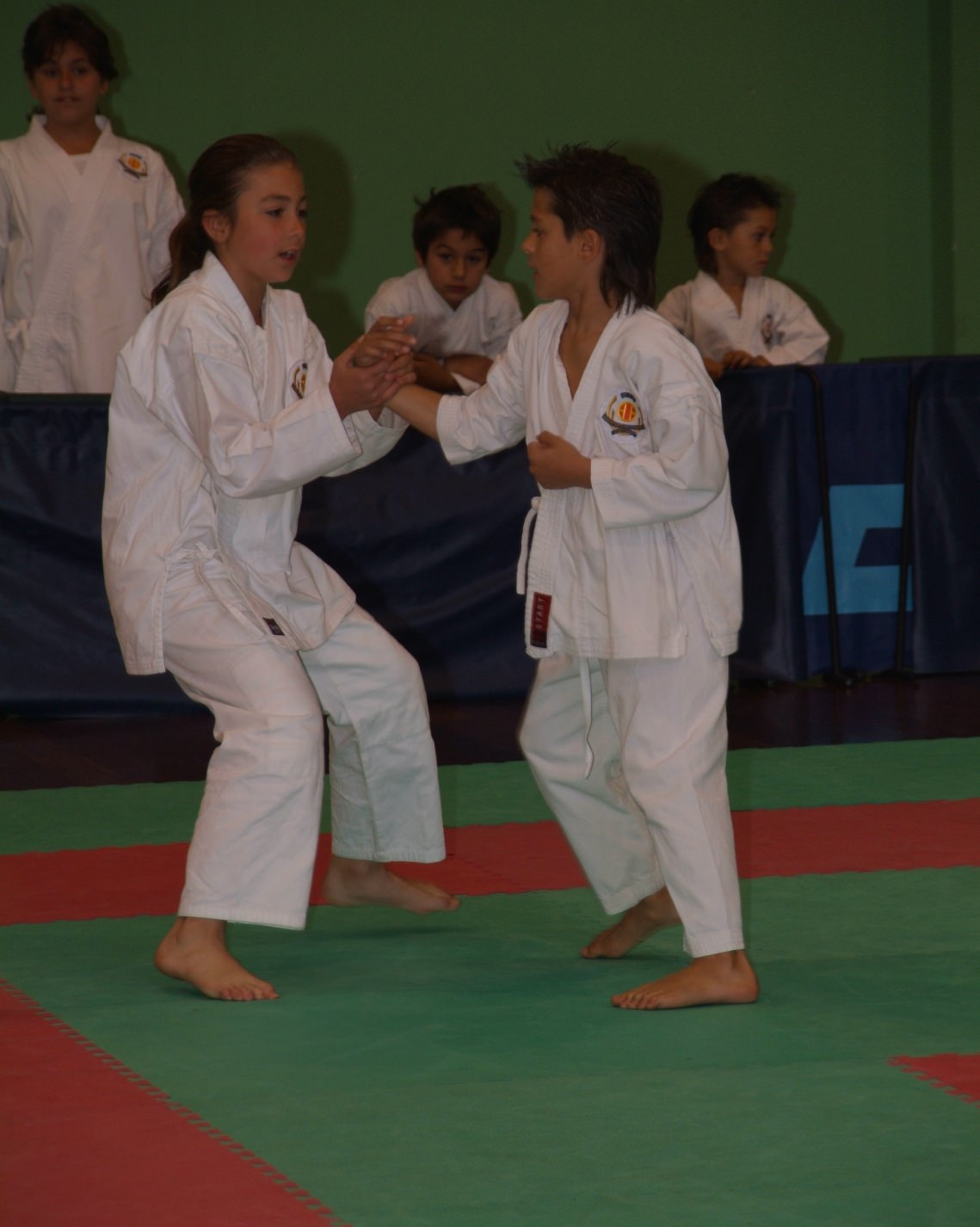 Karate foi Segundo nos Regionais